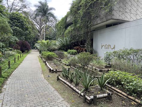 Medellín Botanical Garden: An Oasis of Green in a Bustling City