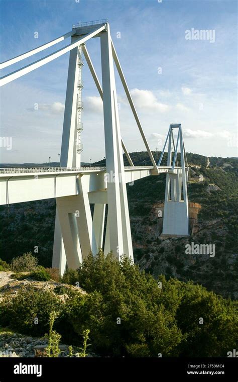 Cable Stayed Bridge Wadi Al Kuf Bengazi Bayda Highway Cyrenaica