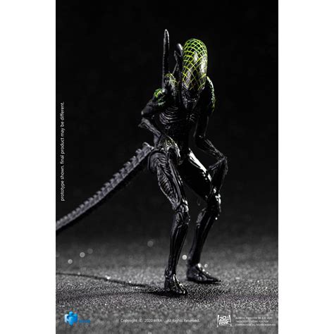 AVP Grid Alien 1:18 Scale Action Figure - Entertainment Earth