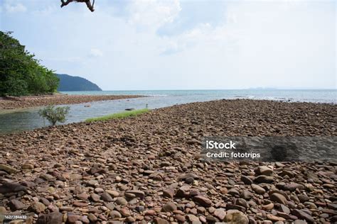 Batu Batu Di Pantai Pada Siang Hari Di Pulaupulau Thailandgambar Latar