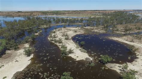 Pike Floodplain High Flows Youtube