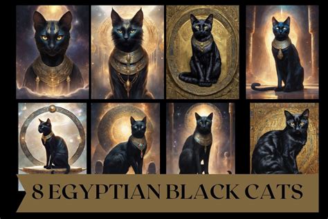 EGYPTIAN BLACK CATS PNGS Graphic by Virinia Downham · Creative Fabrica