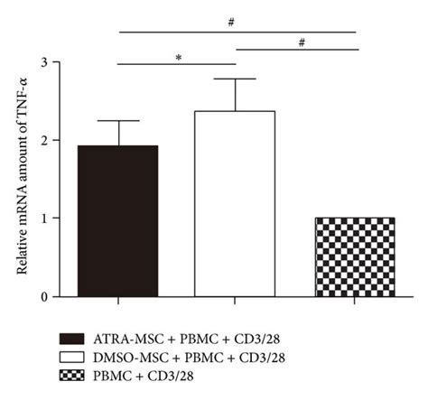 Secretion And Gene Transcription Of Il 17a Ifn γ And Tnf α In The Download Scientific Diagram