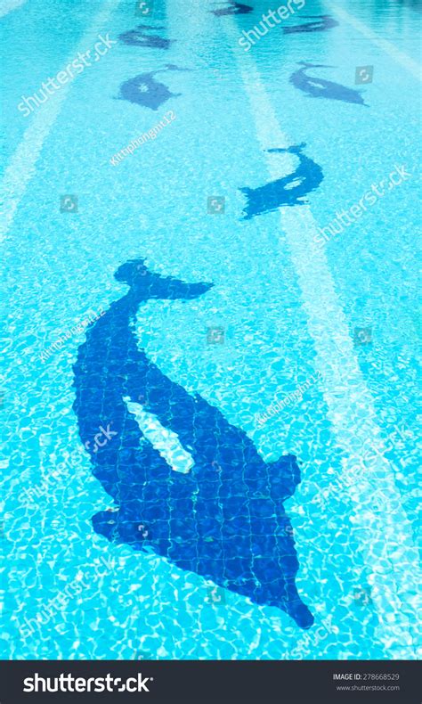 Dolphin Texture Swimming Pool Royalty-Free Images, Stock Photos & Pictures | Shutterstock