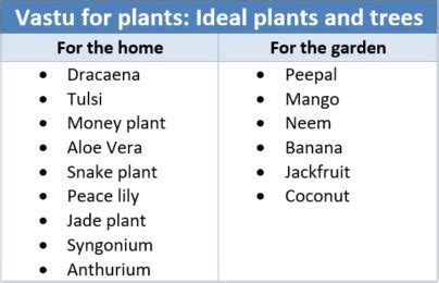 Vastu Tips For Keeping Plants At Home