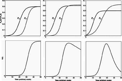 Examples Of Simulated Growth Mortality Curves Generated With Continuous