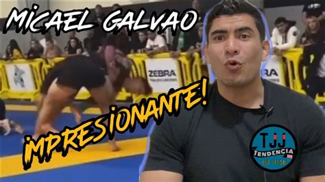 Tjj Tendencia Jiu Jitsu Profe Berna Reacciona Al Espectacular Contra