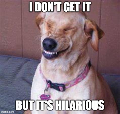 funny dog Memes - Imgflip