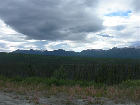 Alaska Pipeline In The Treeline Along The Richardson Hwy S Flickr