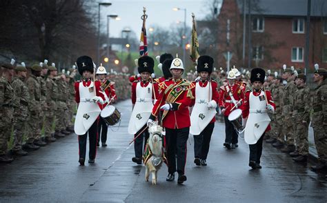 Meet Fusilier Llywelyn The St Battalion Of The Royal Welsh S New