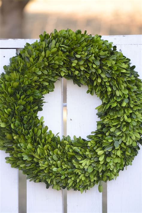 Large Preserved Boxwood Wreath The Blaithin Blair Shop