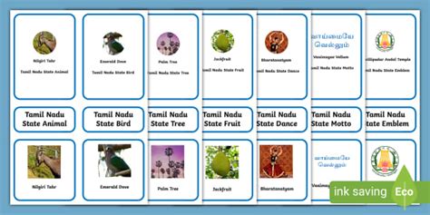 Tamil Nadu State symbols - Montessori Three part cards