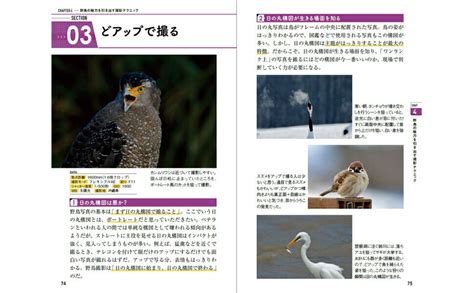 楽天ブックス 野鳥撮影 入門＆実践ハンドブック 現地で役立つノウハウ69 戸塚 学 9784297139216 本