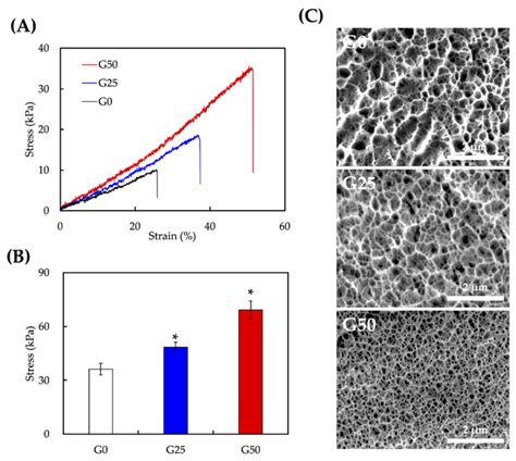 Ijms Free Full Text The Synergistic Effect Of Electrical