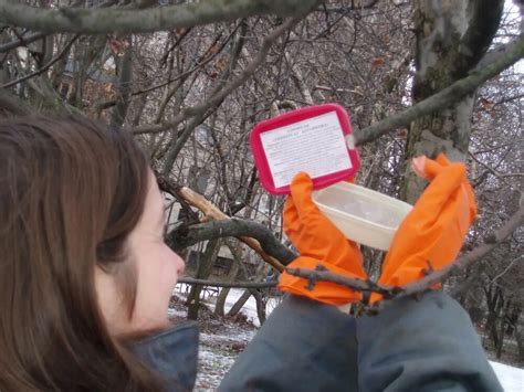 Садовый вар «Универсал Бугоркова» 130 гр купить