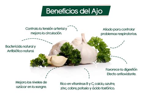 Beneficios Del Ajo Alimento Medicinal Moli Natural