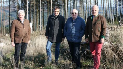 Thema Wald Peter Liese Sieht Eu In Handlungspflicht