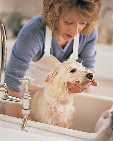 Cat and Dog Grooming Tips | Martha Stewart