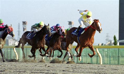 【g1復刻】水沢の怪物メイセイオペラ中央g1制覇、地方馬16年来の悲願成る／フェブラリーs 競馬 日刊スポーツ