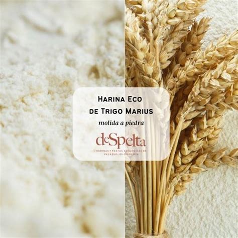 Harinas Ecologicas Compra Harina De Trigo Ecol Gicas