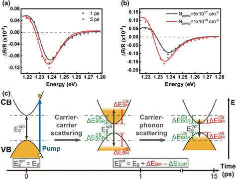 Ultrafast Carrier Dynamics And Layer Dependent Carrier Recombination