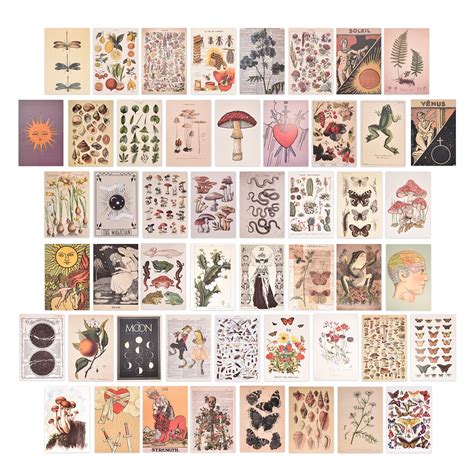 Buy Ruirihai Uk Pcs Vintage Botanical Wall Collage Kit Aesthetic