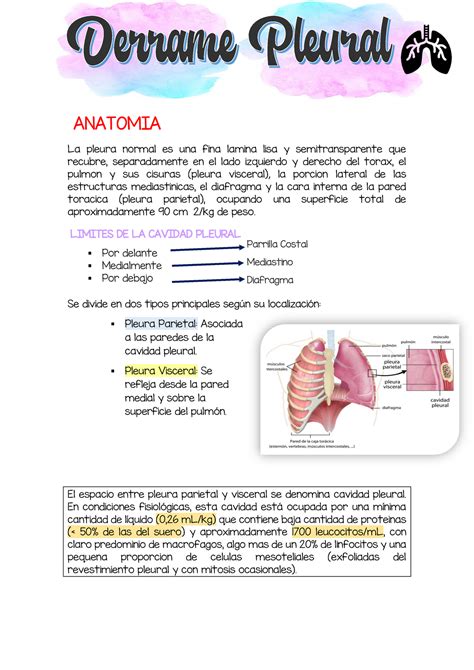 Derrame Pleural La Pleura Normal Es Una Fina Lamina Lisa Y