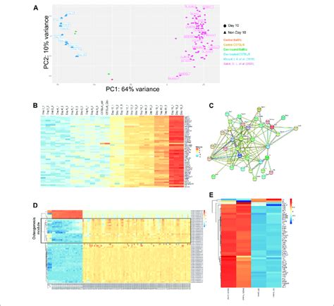 Multiple Comparison Of Transcriptomic Profiles A Principal Download Scientific Diagram