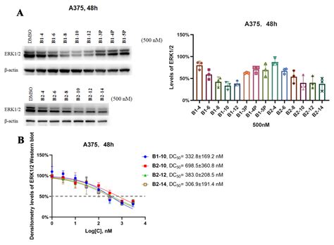 Ijms Free Full Text Design Synthesis And Antitumor Activity