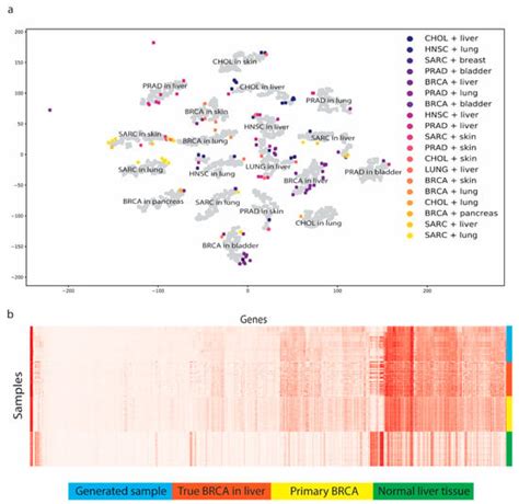 Cancers Free Full Text A Metastatic Cancer Expression Generator