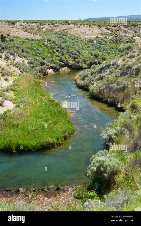 Ana River Summer Lake Wildlife Area Oregon Outback Scenic Byway