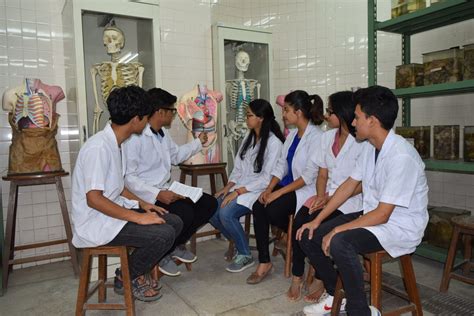 Bachelor of Medicine and Bachelor of Surgery (MBBS) 