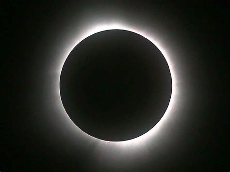 Eclipse An Extraordinary Celestial Spectacle Windsor Essex Observers Say