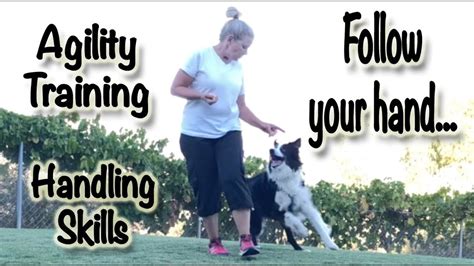 Dog Agility Training Follow Your Hand Handling Foundations Youtube