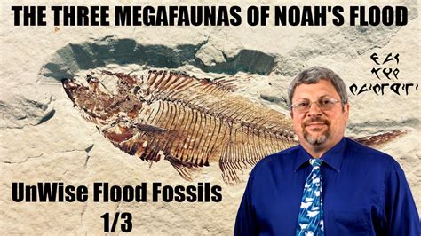 The Three Megafaunas Of Noahs Flood Unwise Flood Fossils Youtube