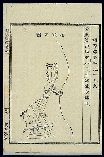 Acu Moxa Chart Points Of The Throat And Neck Japanese Free Public