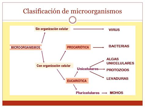 7º Año A 2018 Csnaturales Y Tecnologia Josefa Gutierrez