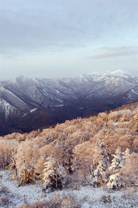 无人公园竖图俯视航拍室外白天旅游度假美景山树林雪雪山植物大雪秋田县日本亚洲阴影光线影子冰积雪