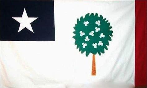 Mississippi Republic Magnolia 1861 Flag 3x5 FT