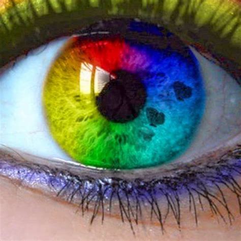 tttn nhung chu cua bo thang