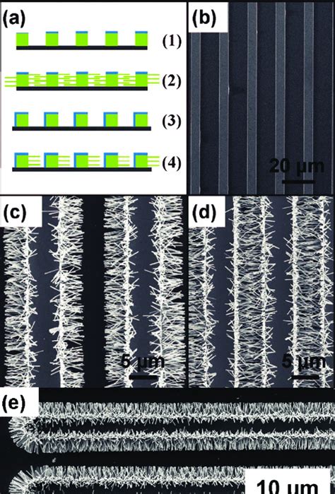 Growth Of Horizontal Zno Nanowire Arrays A Schematic Steps For