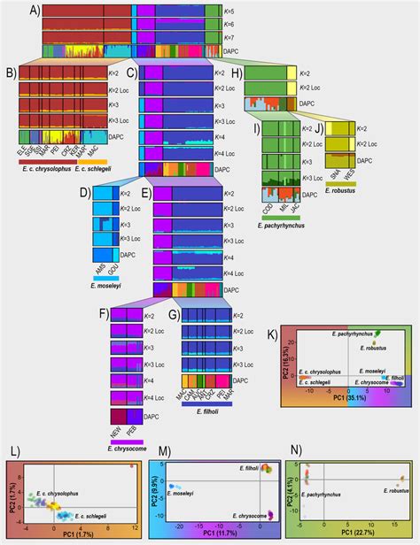 Genetic structure among Eudyptes penguins inferred by Structure, DAPC ...