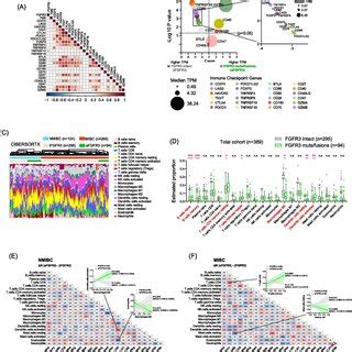 Immune Checkpoint Genes And Immune Related Cell Compositions In Afgfr