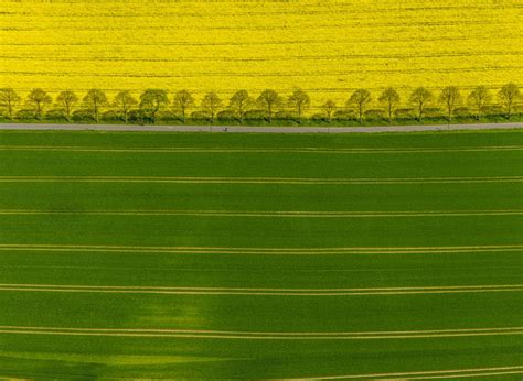 Luftaufnahme Dortmund Feld Landschaft Gelb Bl Hender Raps Bl Ten In