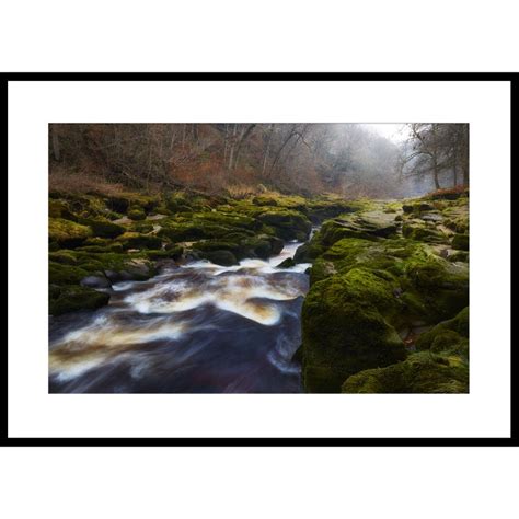 The Strid Bolton Abbey Strid Woods River Wharfe North - Etsy