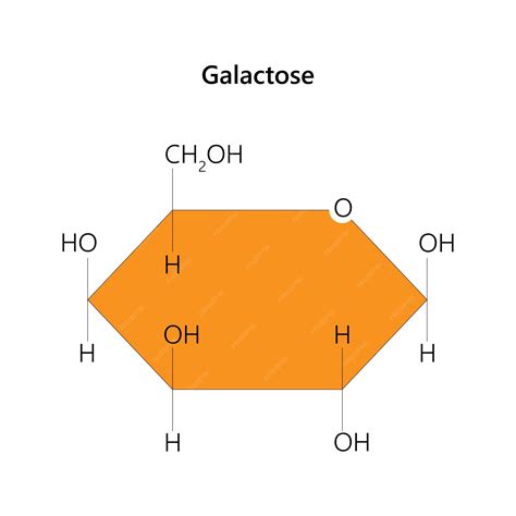 Monosaccharide Units Are Generated From Glycogen By: 8