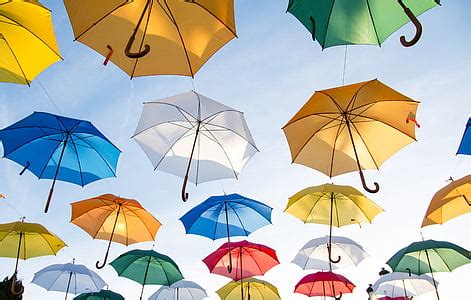 Royalty-Free photo: Umbrellas and lounge chairs on Sunny Beach ...