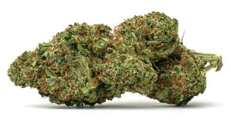 Purple Octane Strain - Weed Way Shop