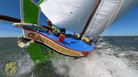 Traditional Boats Regattas Gaio Sarilhos Pequenos YouTube