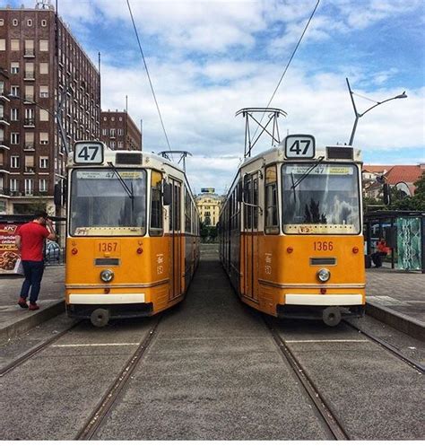 A numerical alignment. : r/AccidentalWesAnderson